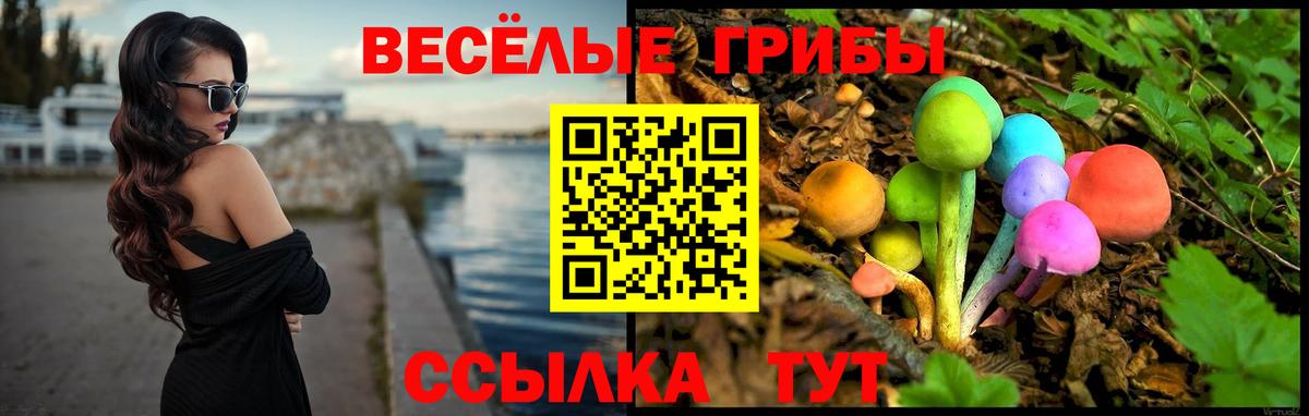 Галлюциногенные грибы Cubensis Керчь